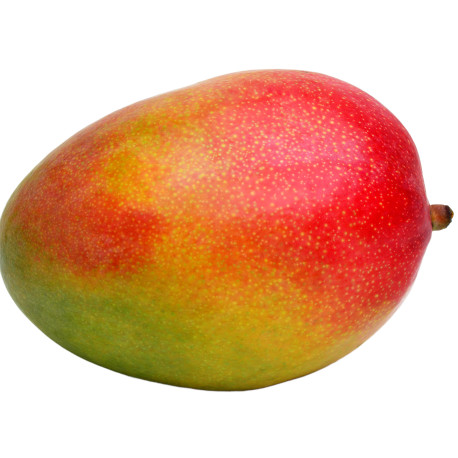 MANGUE KENT AVION 12PCS